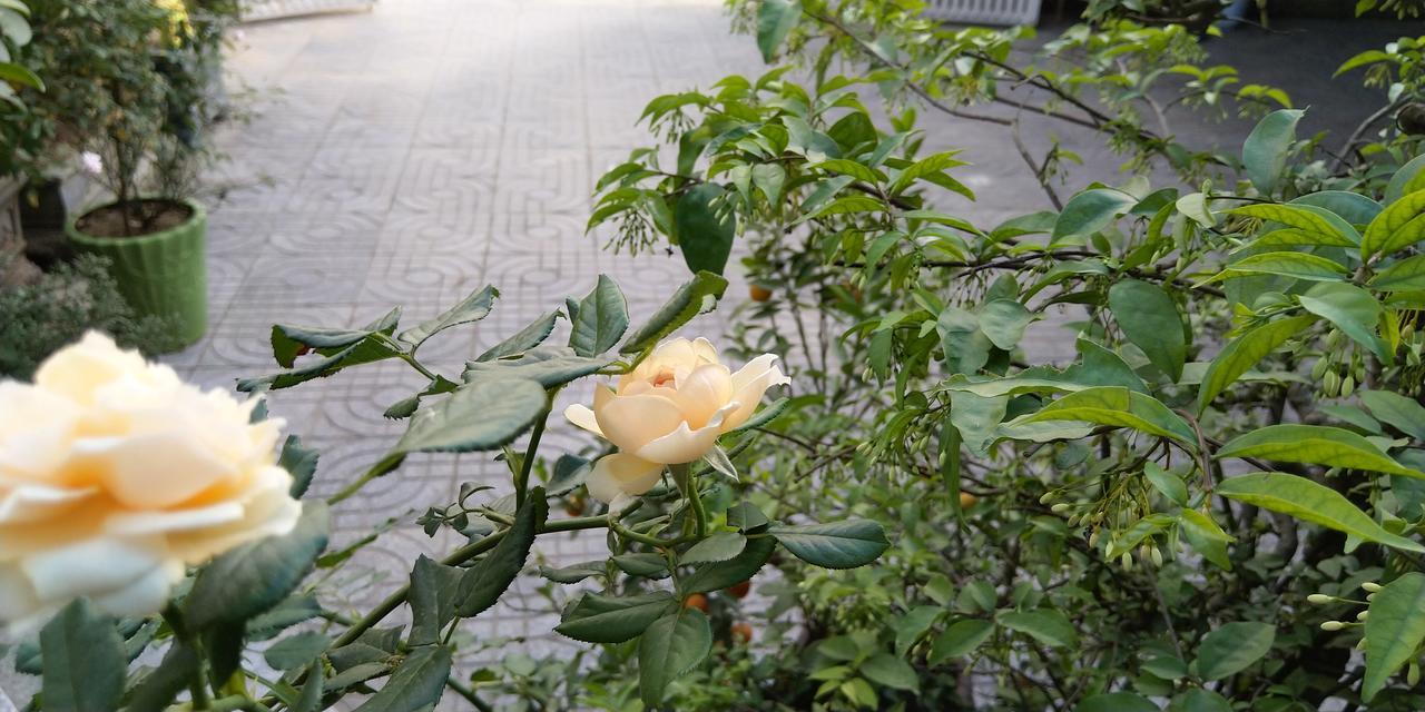 Backpackers Hotel Provinz Hà Tĩnh Exterior foto